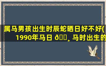 属马男孩出生时辰蛇晒日好不好(1990年马日 🕸 马时出生的人)